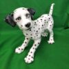 Large Dalmatian
