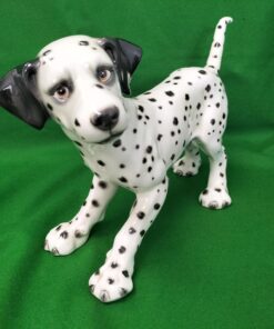 Large Dalmatian