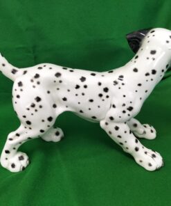 Alternative view of Large Dalmatian