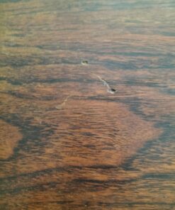 Rosewood Drinks Cabinet - Image 6
