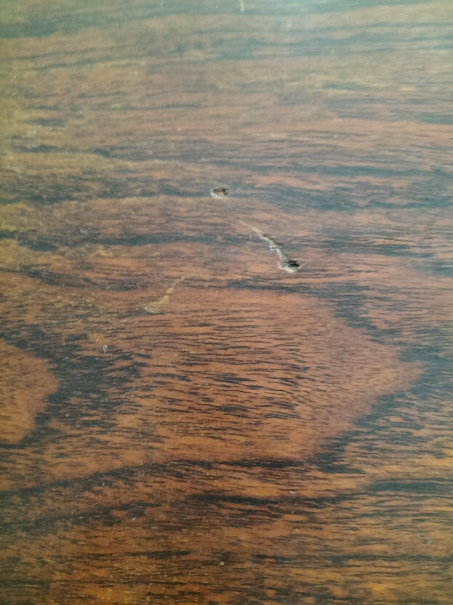 Rosewood Drinks Cabinet - Image 6